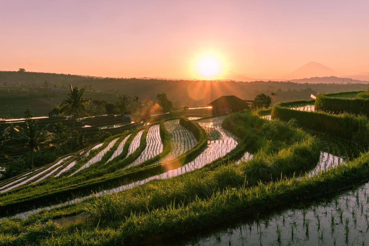 terasering Bali