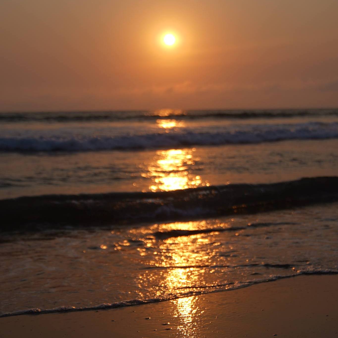 Beach and Sea View