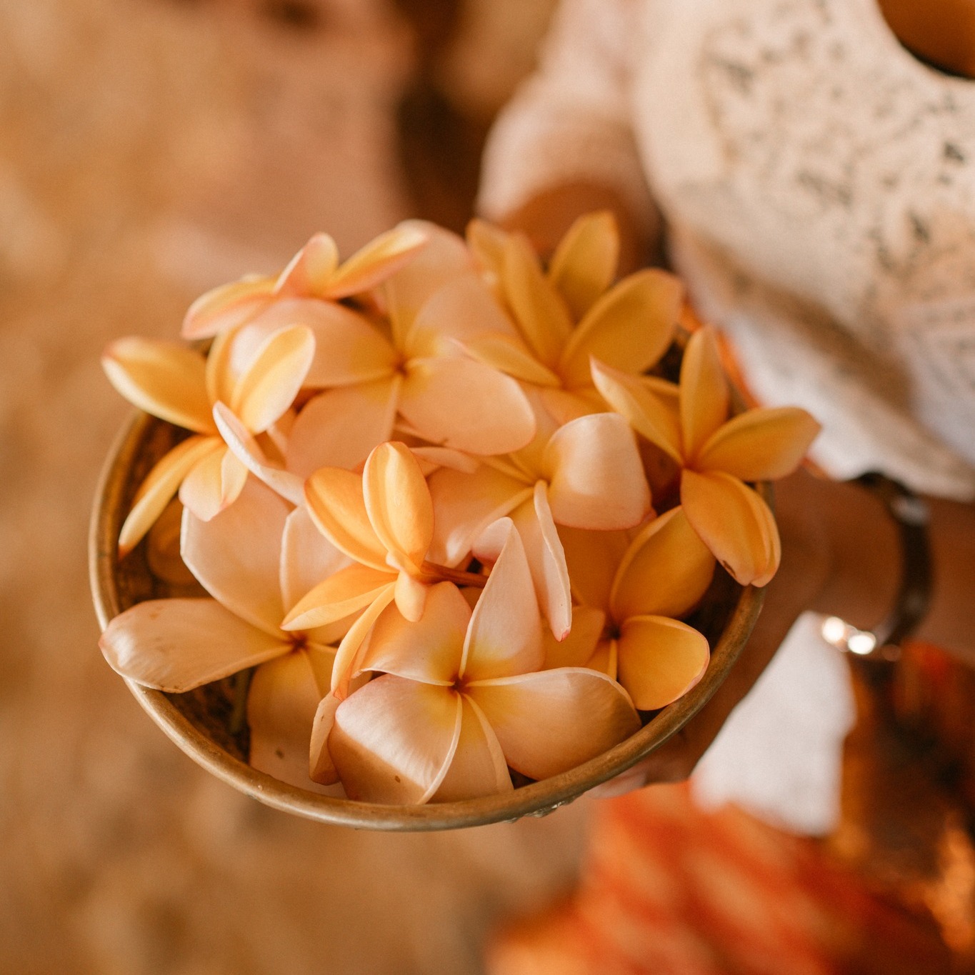 Kamboja Flower Arrangements